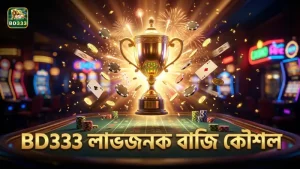 BD333 এর পেআউট টেবিল অনুযায়ী লাভজনক বাজির কৌশলসমূহ